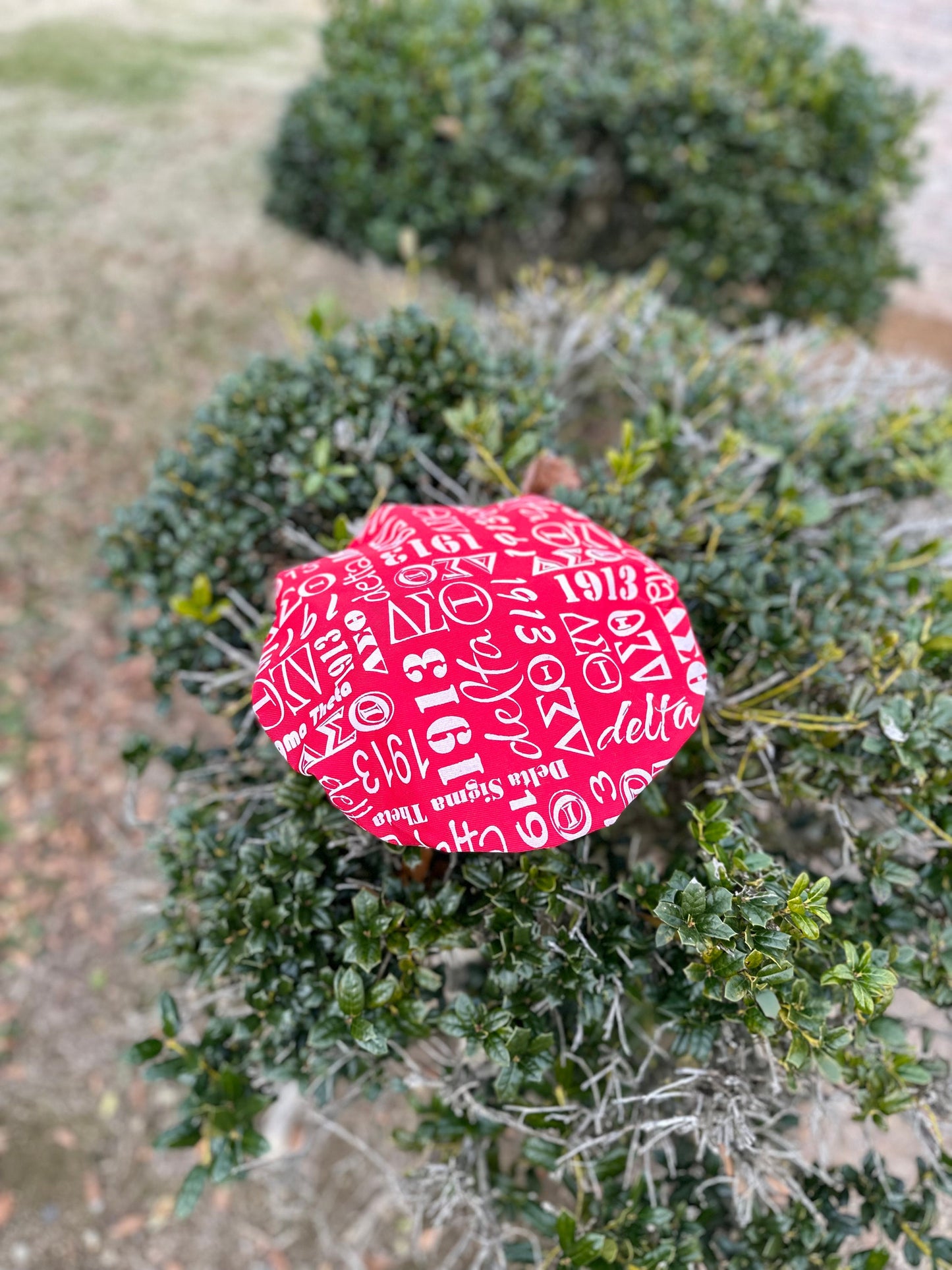 Delta Sigma Theta (DST) PVC Shower Cap, Black & Red color Double Layer, with organization name, founding year and Greek letters for Women.