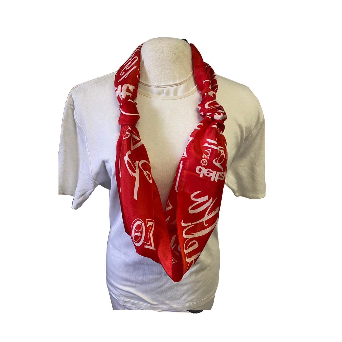 Sorority Long Silk Oblong Muffler