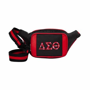 Tetron Fanny Pack - DELTA SIGMA THETA