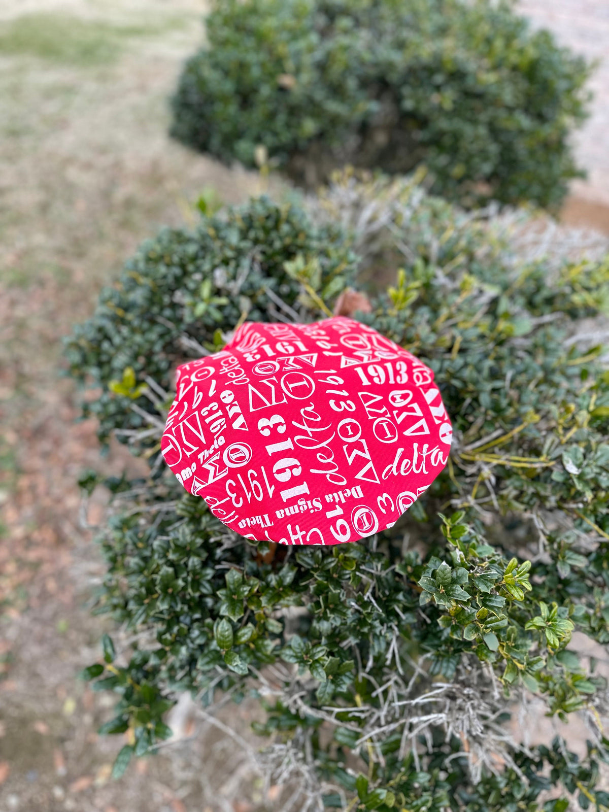 Delta Sigma Theta (DST) PVC Shower Cap, Black & Red color Double Layer, with organization name, founding year and Greek letters for Women.