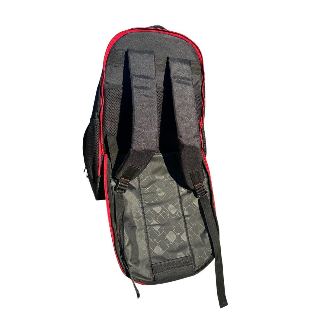 Delta Sigma Theta (DST) Backpack on the wheels, with laptop sleeves and several zips to put your stuff, for Delta sorors who loves to travel