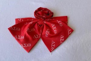 Red & White Silk Bow Tie 2
